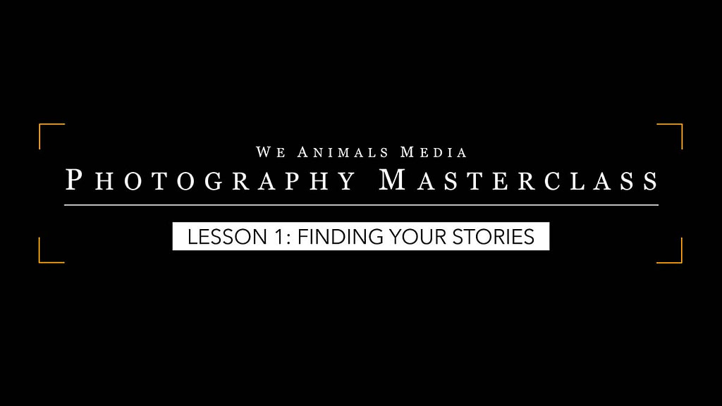 Lesson 1: Finding Your Stories