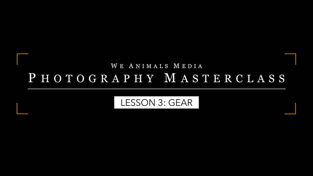 Lesson 3: Gear