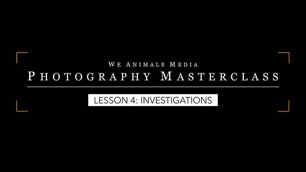 Lesson 4: Investigations