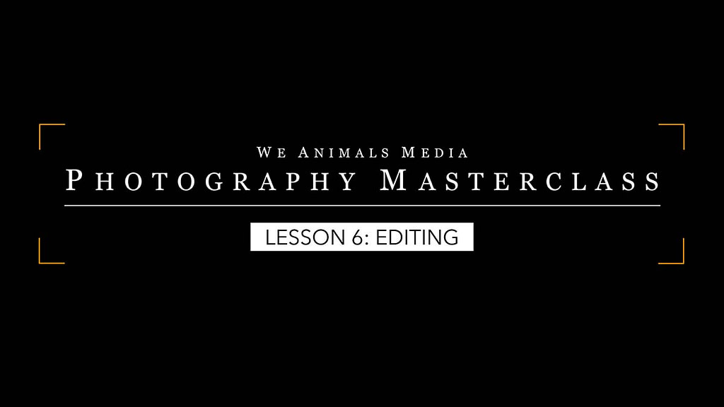 Lesson 6: Editing