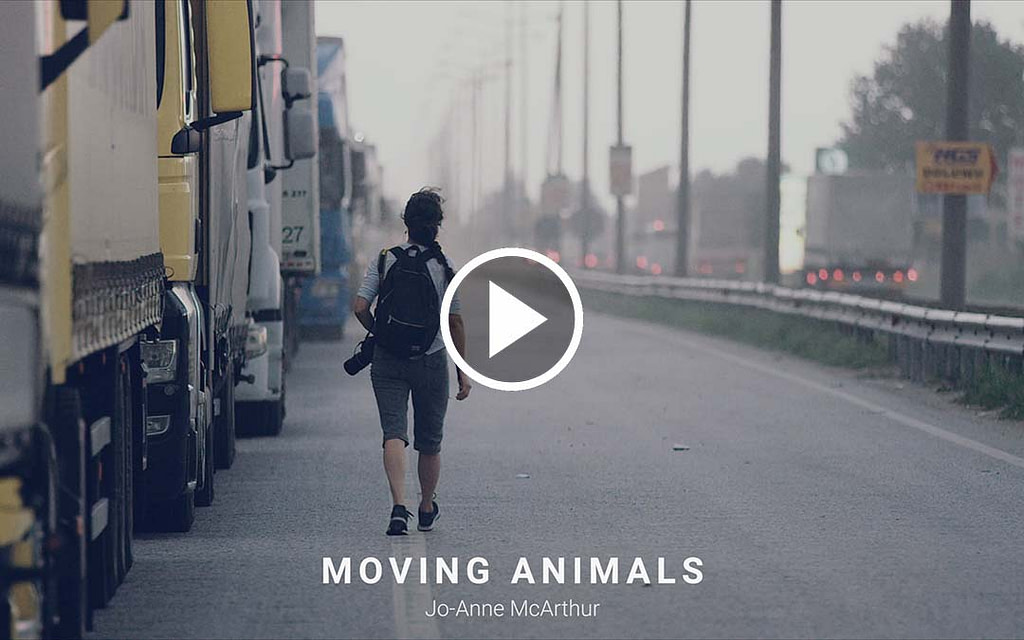 In the Field: Moving Animals