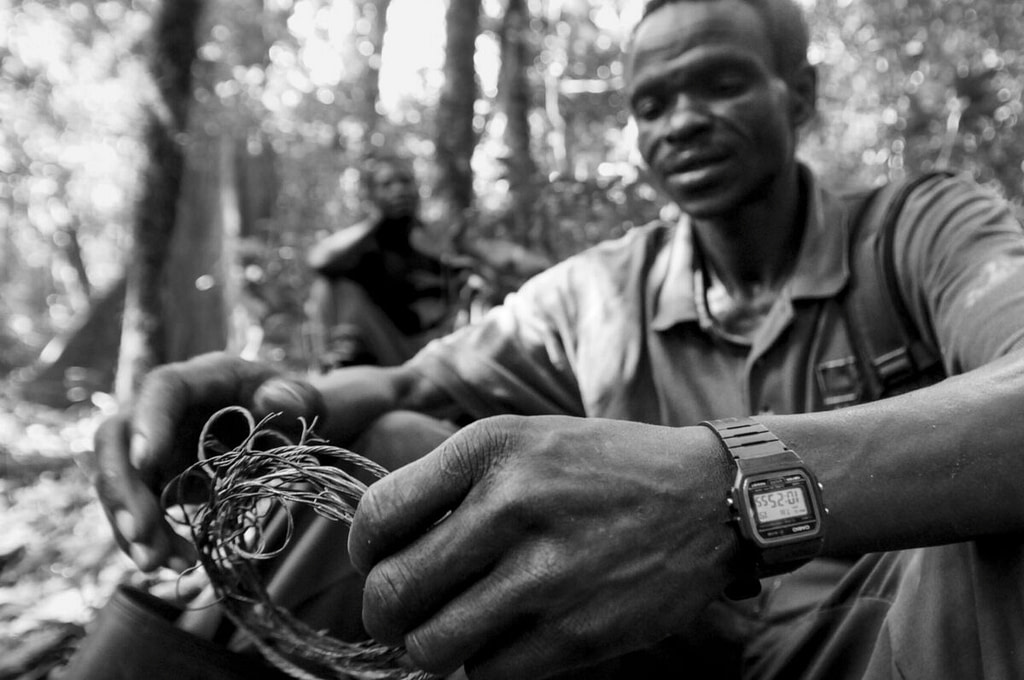 The Eco Guards Protecting Uganda’s Budongo Forest