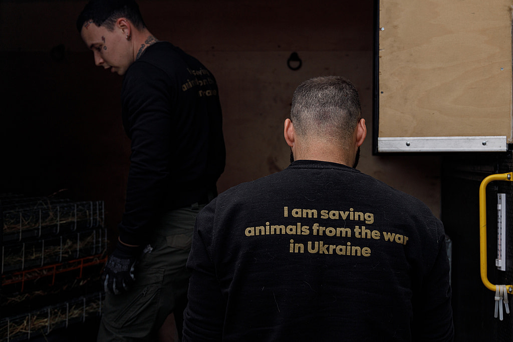 Frontline Heroes: The Brave Mission to Rescue Animals in Ukraine