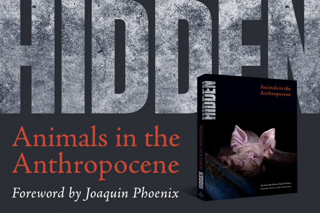 Five Years of HIDDEN