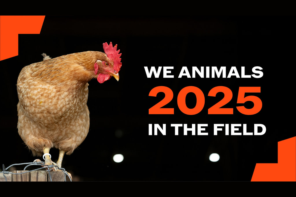 2025: A Year in Review