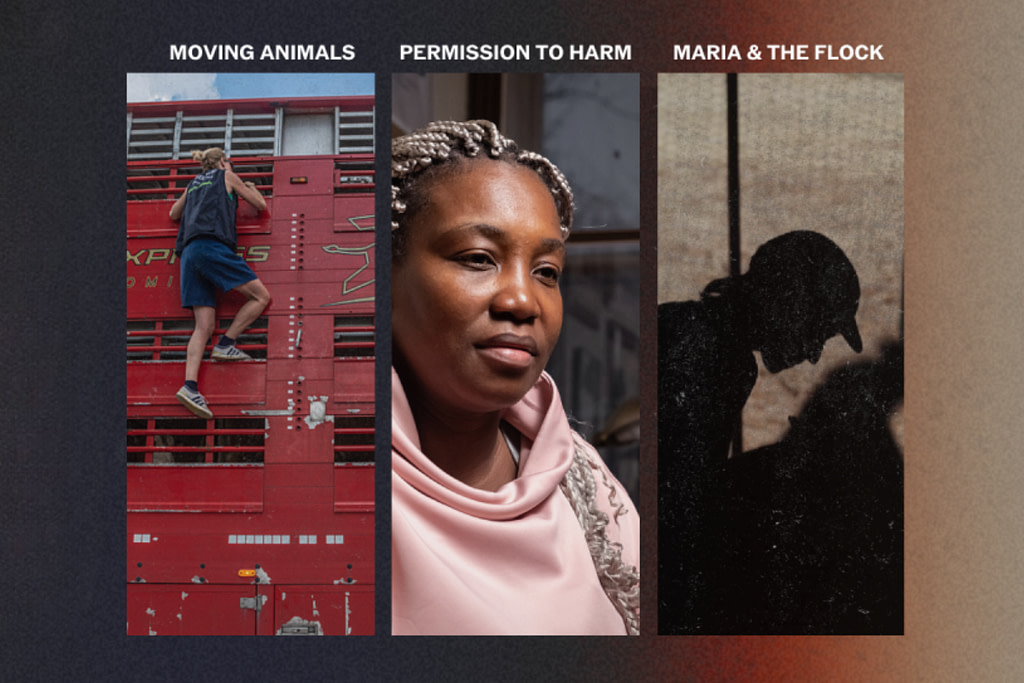 We Animals Presents An Evening of Documentary Films & Conversation