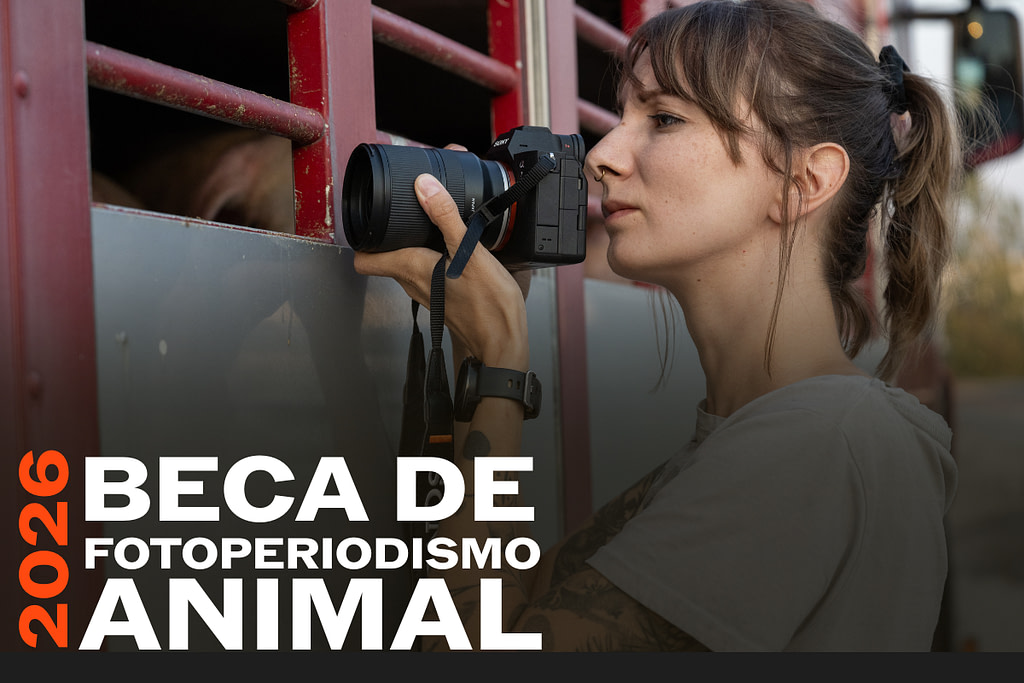 Beca de Fotoperiodismo Animal
