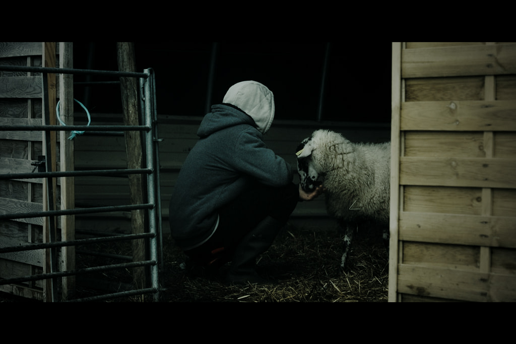 We Animals Presents: “The Beast & The Shepherd” Online Premiere