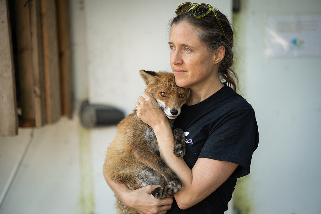50 Years. 50 New Monthly Donors for Animals.