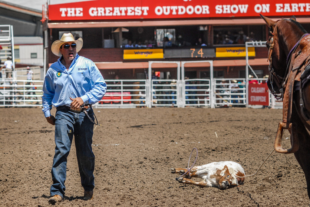 If the Calgary Stampede Stands Behind Its Welfare Standards, It Should Welcome Scrutiny