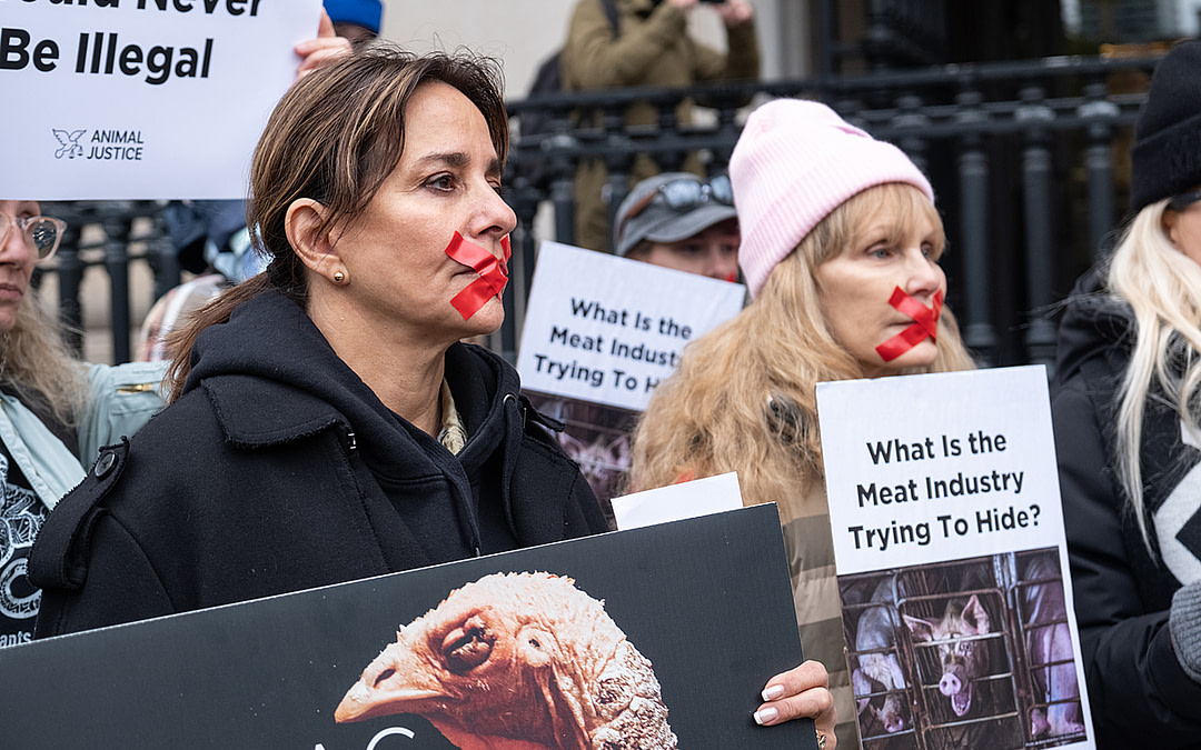 Our Public Statement on Canada’s Ag-Gag Bill C-275