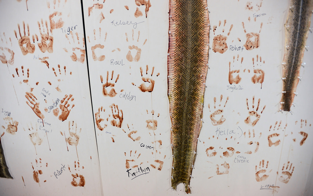 Wall of Shame is Selected by Jury as “Highly Commended”