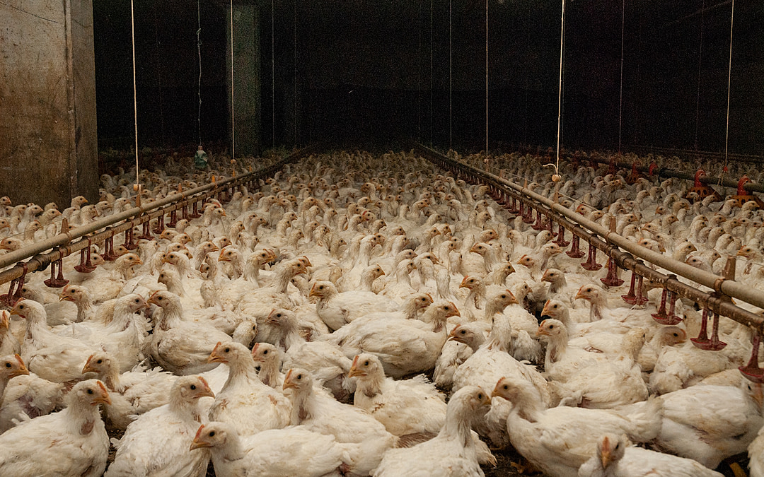 New Stock Photos: HIDDEN’s Award-Winning Collection