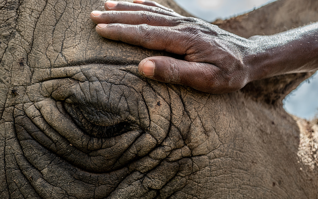 Interview with Photojournalist Justin Mott