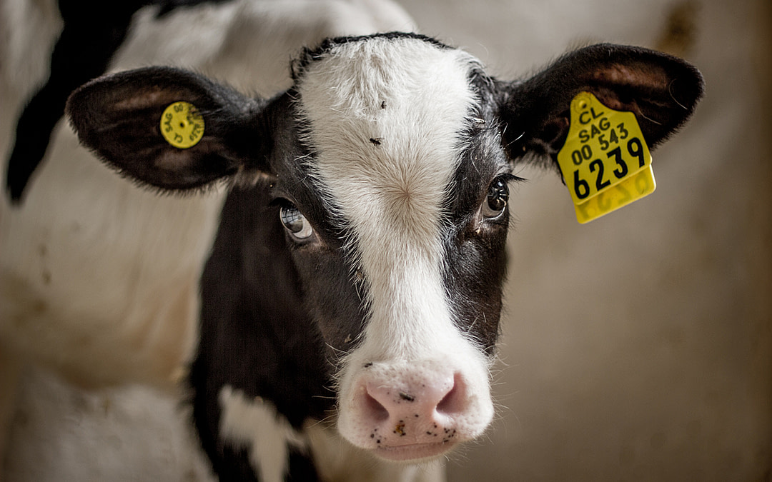 Interview with Photographer and Activist Gabriela Penela