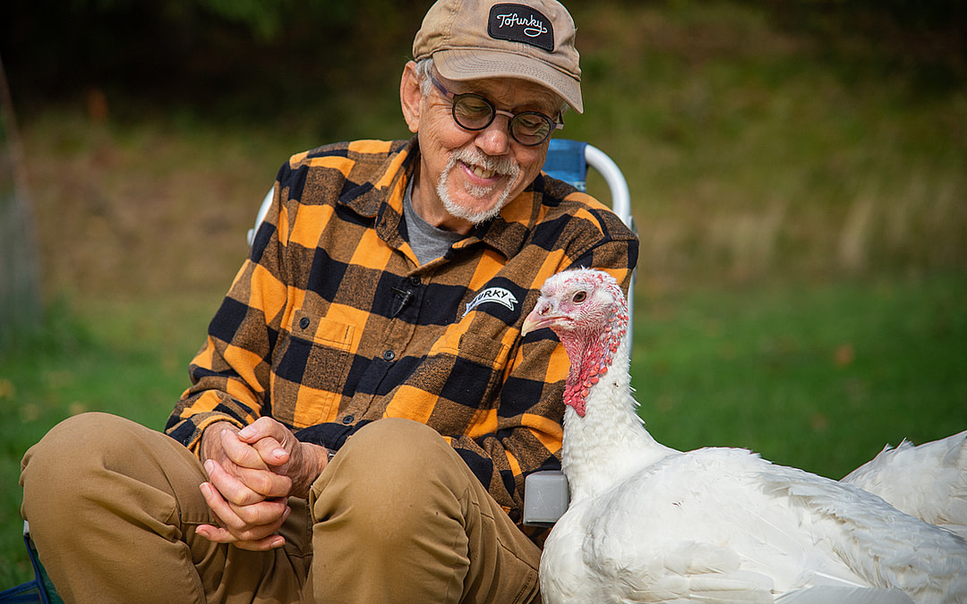 Thanksgiving, Turkeys & Tofurky