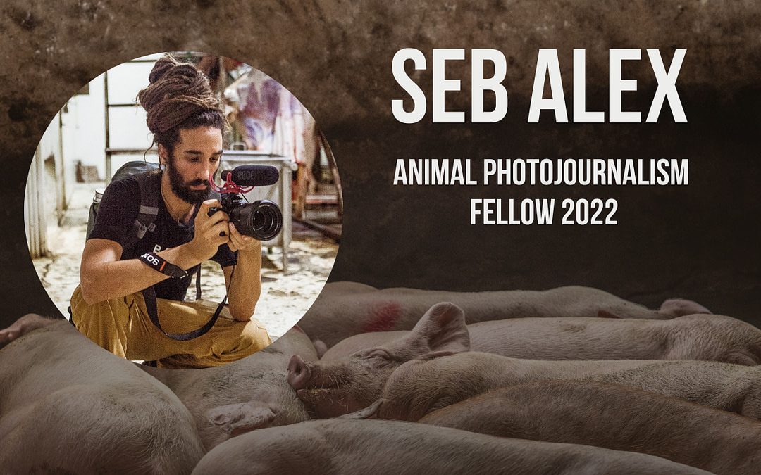 Announcing The 2022 Animal Photojournalism Fellow