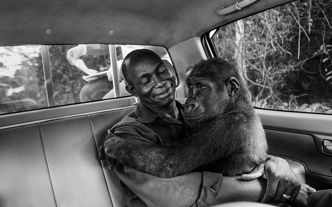 Our Top 10 Images For World Wildlife Day