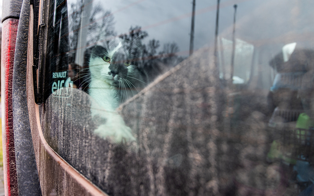 Interview with Photographer Molly Condit