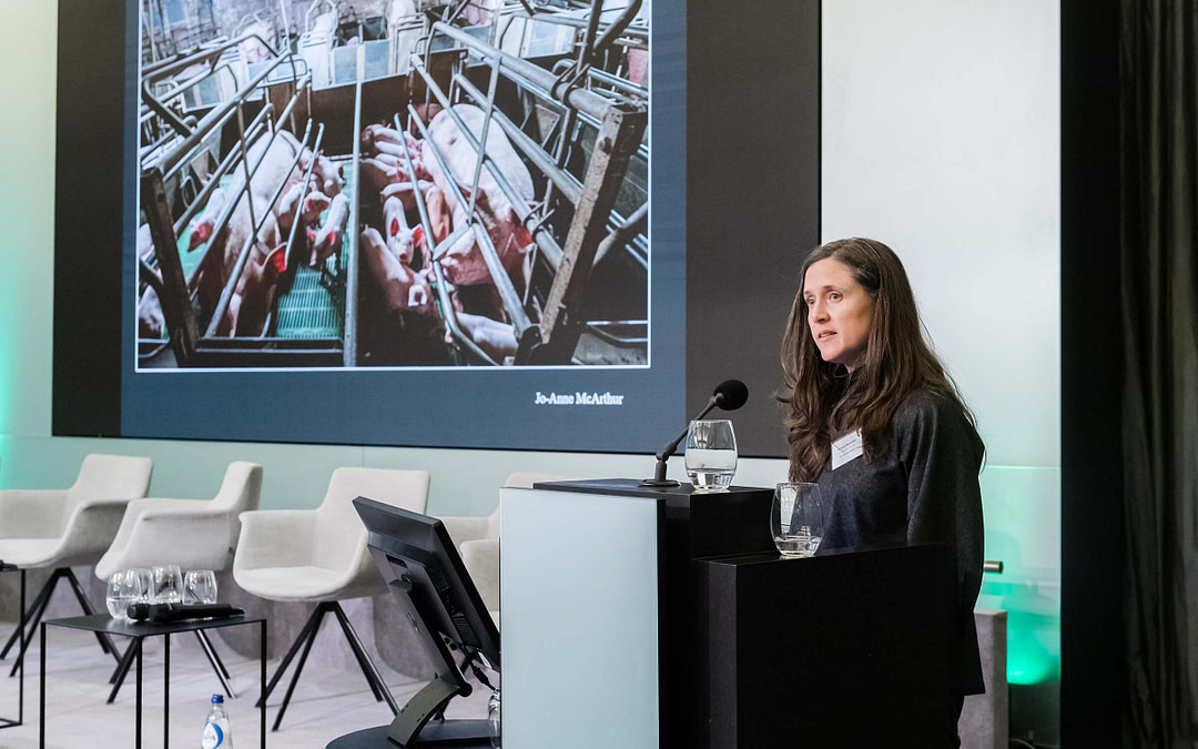 Raising Animal Issues to EU Parliament