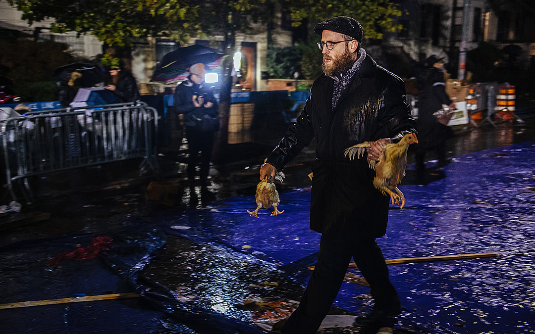 Documenting Kaporos Chicken Slaughter in New York
