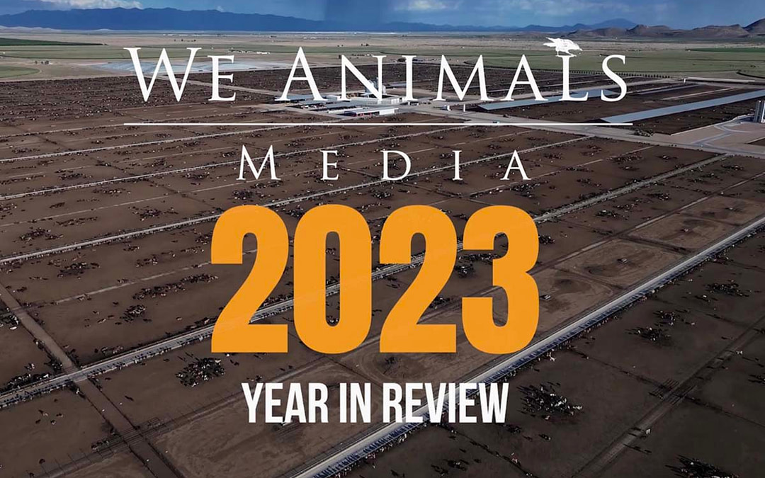We Animals in 2023: A Year of Growth and Impact