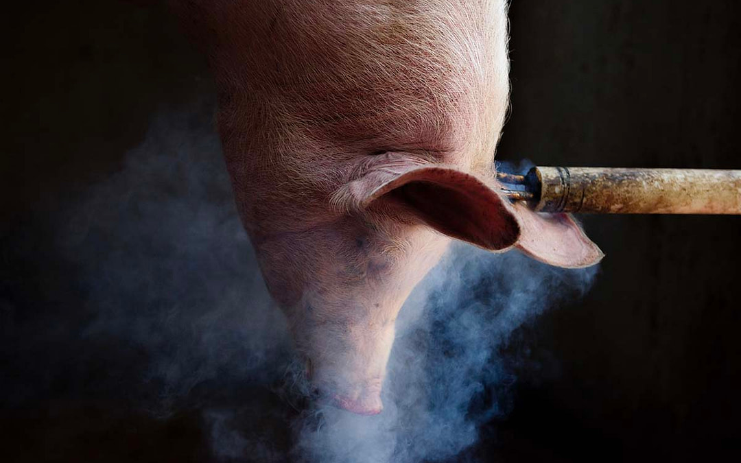 Interview with Tras Los Muros Photographer Aitor Garmendia