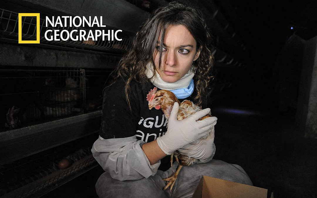 National Geographic Features Our Open Rescue Photography