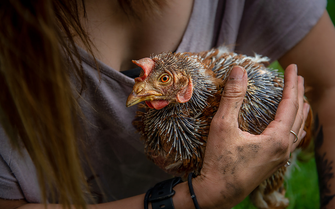 Introducing Our Stories of Compassion & Change