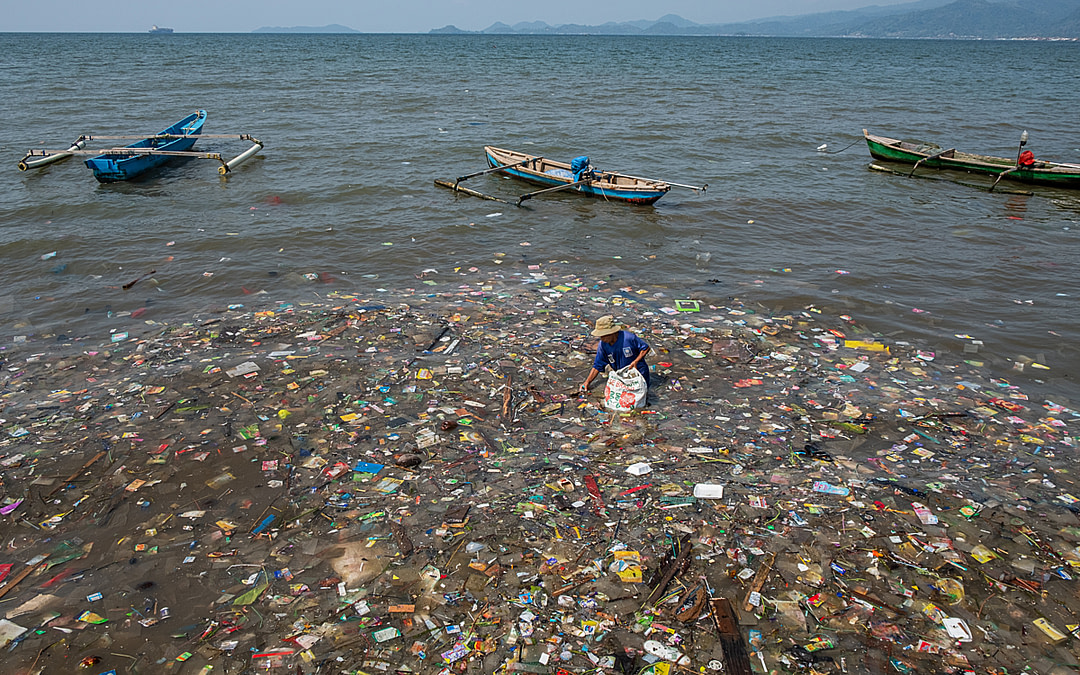 Trash-choked Shores: The Impact of Plastic Waste on Coastal Communities and Marine Life