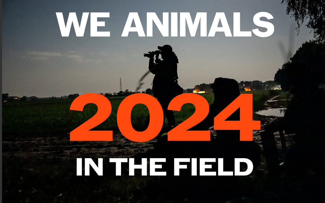Helping Animals and Shifting Cultures in 2024