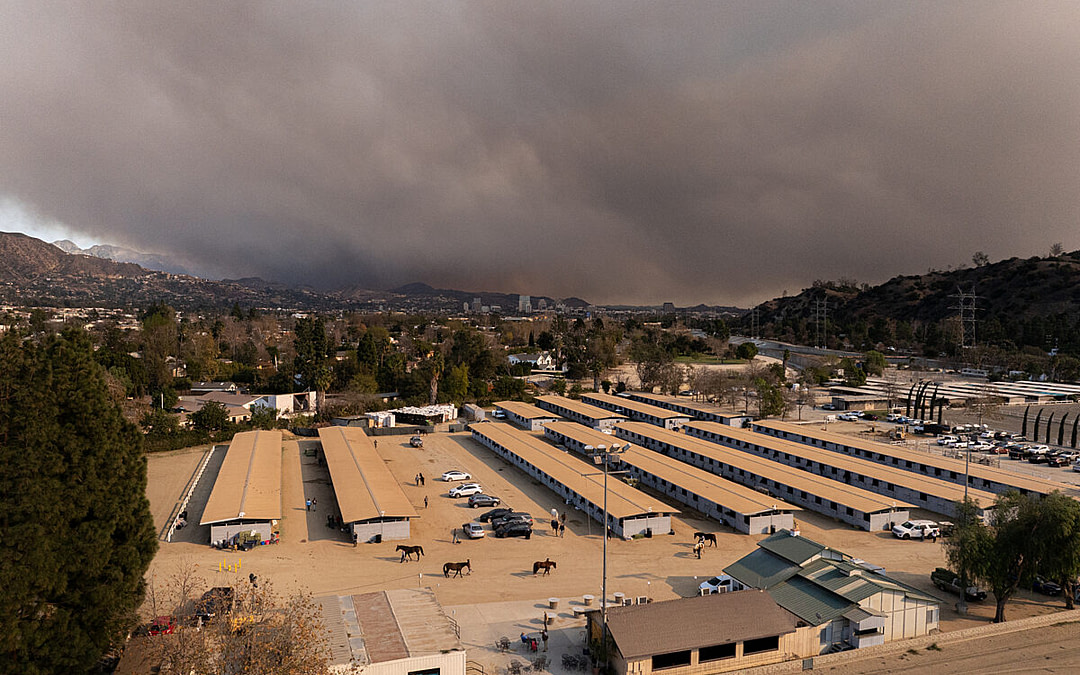 An Animal Photojournalist’s Reflections on the Los Angeles Wildfires & the Climate Crisis
