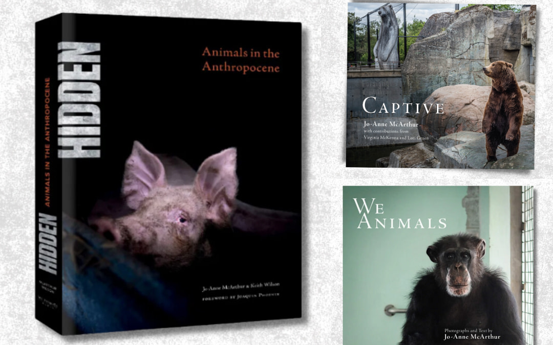 A World Book Day Offer
