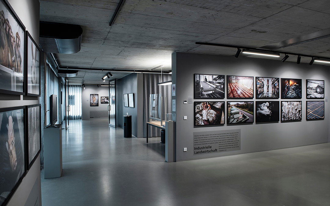 Visual Advocacy: Hosting a We Animals Exhibition
