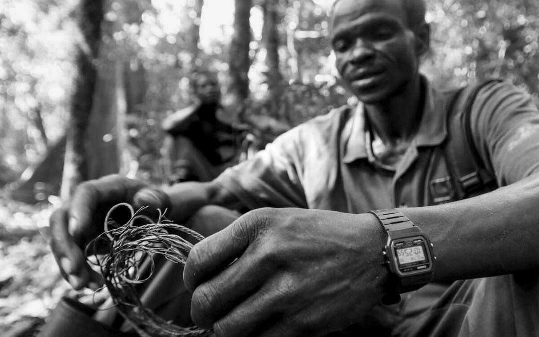 The Eco Guards Protecting Uganda’s Budongo Forest