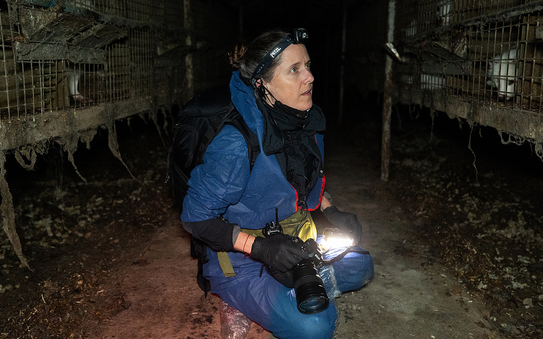 Lighting the Spark: Our Theory of Change & 2026-2028 Strategic Plan