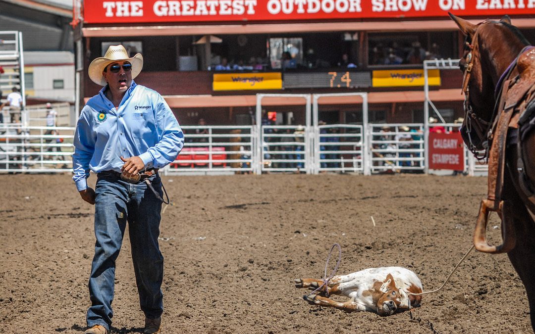 If the Calgary Stampede Stands Behind Its Welfare Standards, It Should Welcome Scrutiny