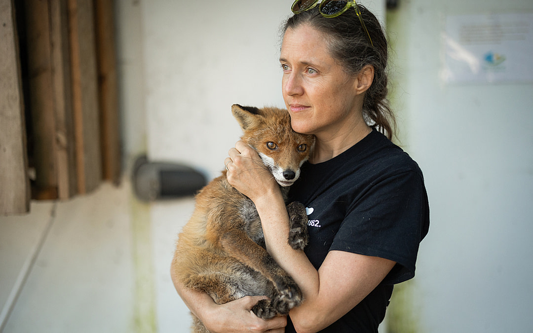 50 Years. 50 New Monthly Donors for Animals.