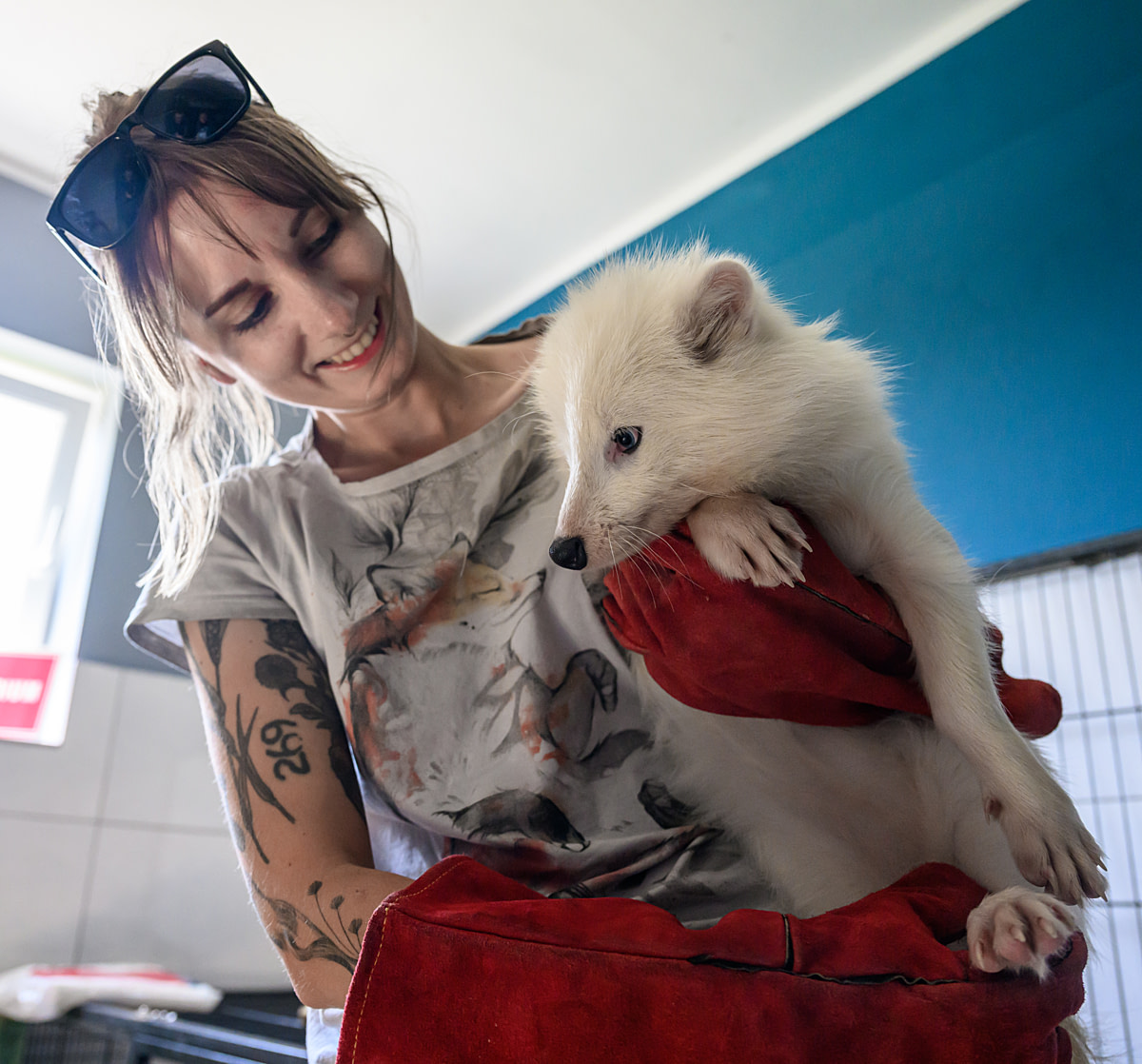 Buba, a female white raccoon dog rescued the previous night from a fur farm, is held by investigator and animal advocate Bogna Wiltowska for a few moments before being placed in a carrier for the journey to a sanctuary. By chance, Buba is positioned nose-to-nose with the fox motif on Bogna's clothing. Poland, 2024. Jo-Anne McArthur / Otwarte Klatki / We Animals Buba, a female white raccoon dog rescued the previous night from a fur farm, is held by investigator and animal advocate Bogna Wiltowska for a few moments before being placed in a carrier for the journey to a sanctuary. By chance, Buba is positioned nose-to-nose with the fox motif on Bogna's clothing. Poland, 2024. Jo-Anne McArthur / Otwarte Klatki / We Animals