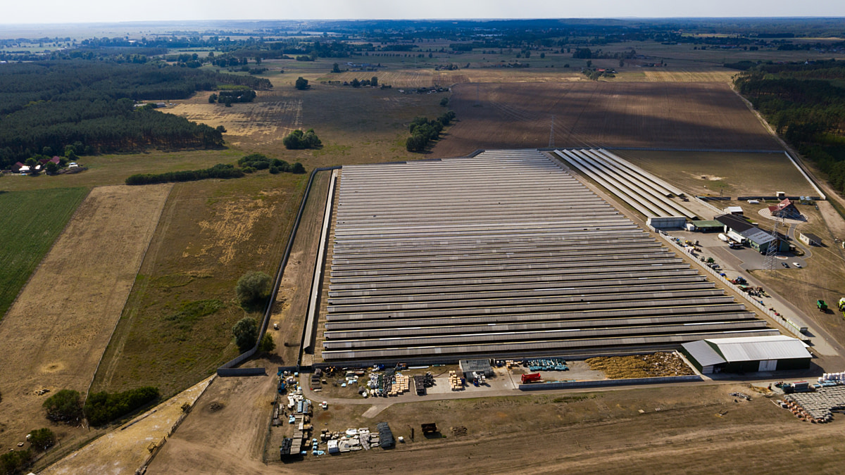 An aerial view of a large mink farm with several dozen sheds housing caged mink. According to the photojournalist the farm has faced years of opposition from some local residents over environmental concerns. Poland, 2025. Andrew Skowron / We Animals