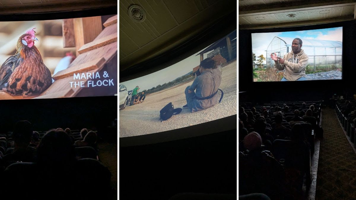 Screening Poster 1200x1800px_We Animals Presents Kairos Event, London UK