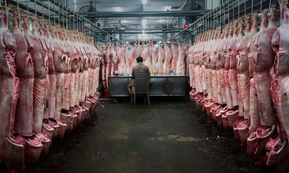 Pig butchering, Vietnam, 2019 _ Amy Jones_Moving Animals