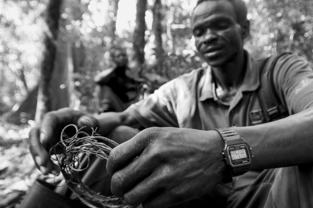 Ofen holding a snare in the Budongo Forest. Budongo Forest, Western Region, Uganda, 2009. Jo-Anne McArthur / We Animals
