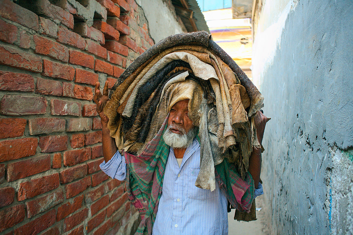 An elderly worker carries a dozen cow hides on his head through the narrow streets of Lalbagh, in the centre of Dhaka. Bangladesh, 2015. Christian Faescke / We Animals