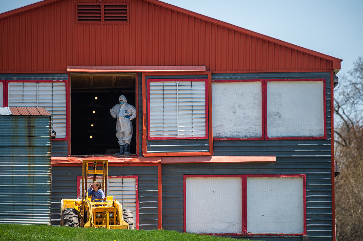 People at a duck farm in a biosecurity zone. It's possible that birds diagnosed with the highly pathogenic H5N1 virus were found here. If confirmed, the birds will be killed by carbon dioxide gas (CO2). Canada, 2022. Jo-Anne McArthur / We Animals