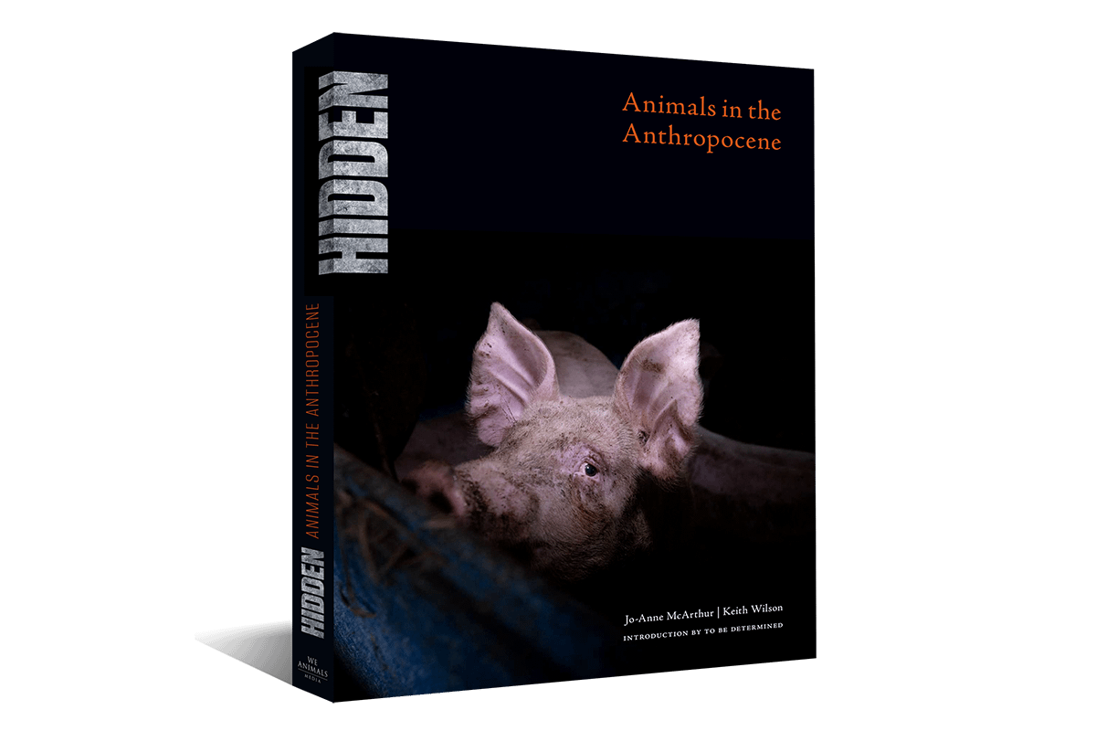 HIDDEN: Animals in the Anthropocene (We Animals, 2020)