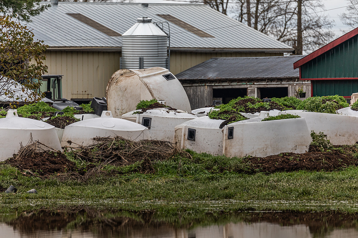Multiple calf hutches piled up after being swept away by the Abbotsford, BC floods. Canada, 2021. Nick Schafer / We Animals