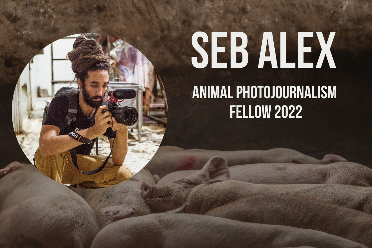 Seb Alex: Animal Photojournalism Fellow 2022 - We Animals