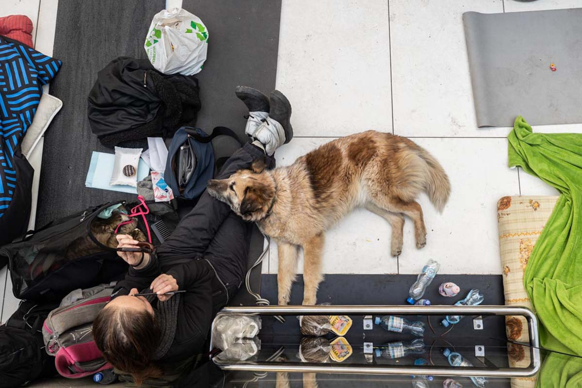 Ukrainian war refugees rest at the Katowice train station in Poland where they have set up makeshift beds on the floor. Food and veterinary care is available for animals. Poland, 2022. Andrew Skowron / We Animals