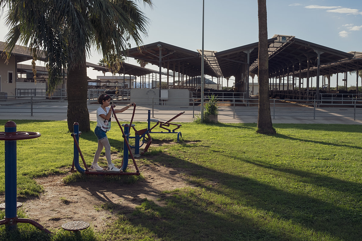 A girl uses an exercise machine in a play area in front of sheds that house lactating water buffalo cows at an intensive buffalo dairy farm that that doubles as a tourist attraction. Il Tempio Dairy Farm, Capaccio Paestum, Salerno, Italy, 2024. Raffaele Petralla / We Animals